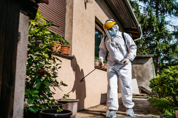 Best Pest Prevention Services  in Fairbanks Ranch, CA