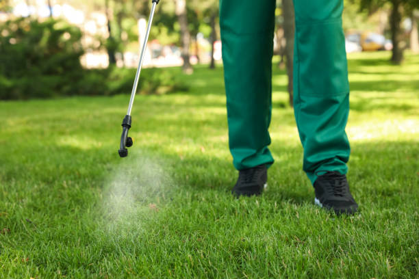 Best Flea Control Services  in Fairbanks Ranch, CA