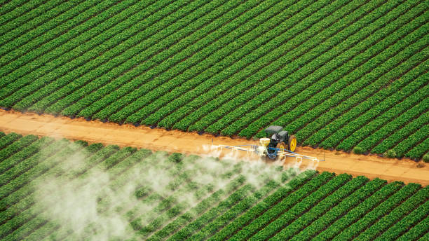 Best Pest Control for Businesses  in Fairbanks Ranch, CA