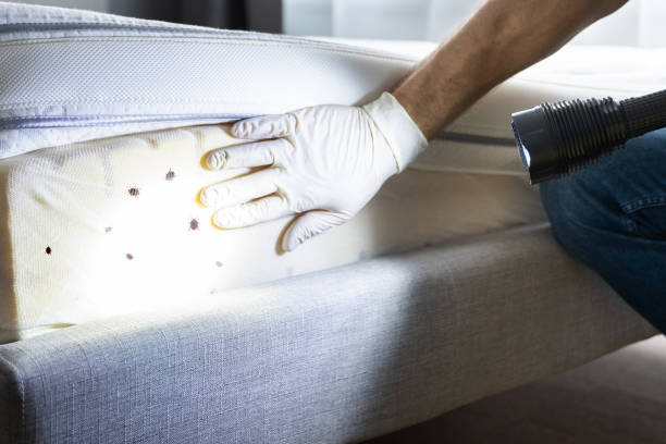 Best Pest Control Near Me  in Fairbanks Ranch, CA