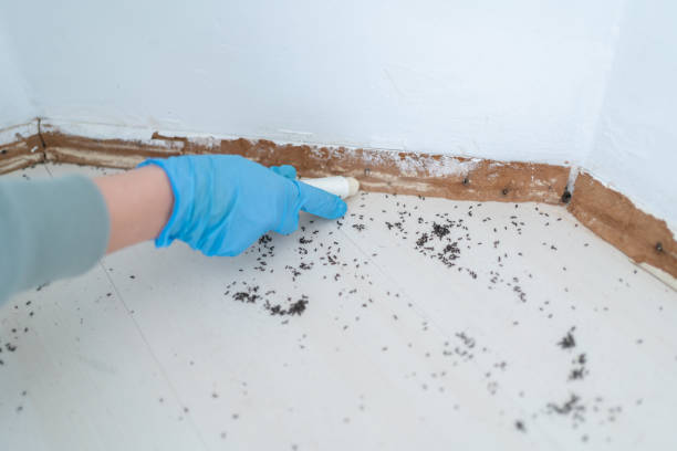 Best Pest Prevention Services  in Fairbanks Ranch, CA